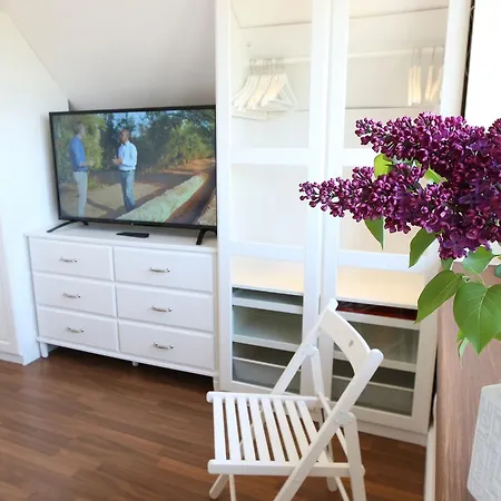 Ferienwohnung Lutt Matten Mit Sud Westterrasse アパート *